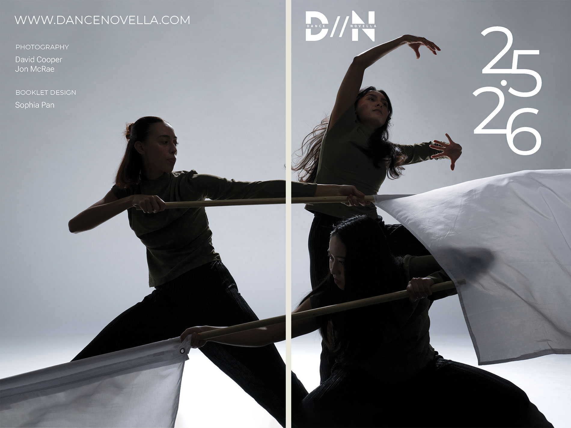 Dance Novella brand guide